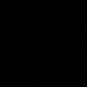 Meet your Posher, Daisy